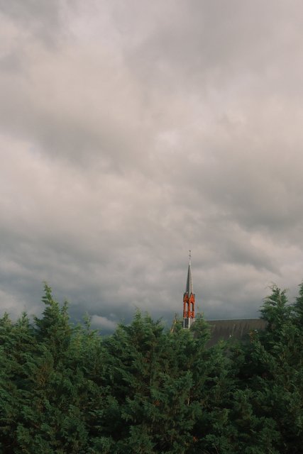 Photograph 28 by Frans Leys